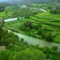 حميد عبد القادر (@hamedantr) 's Twitter Profile