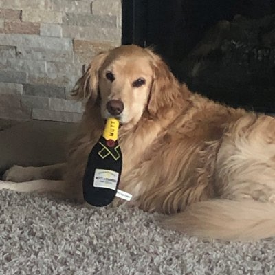 SteveHeser's profile picture. 