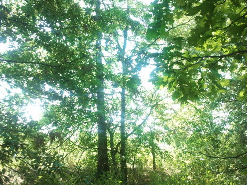 joshnobert's profile picture. 