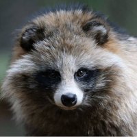 佐伯真魚 (@a39968) 's Twitter Profile Photo