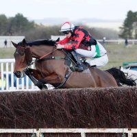 Finn Buckley (@finnbuckley1) 's Twitter Profile