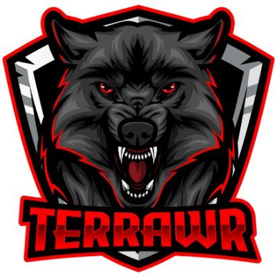 Streamer & Gamer