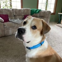 Brent Henderson (@bhend23) 's Twitter Profile