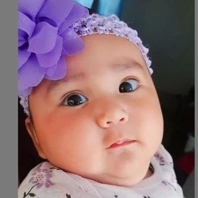 Giginena77's profile picture. I am 28 years old love animals so much and single but want to be a doctor/ vet.