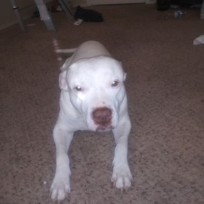 jeremym53946214's profile picture. Phoenix📍love your world and get your budda on 🙌🌴🐾😉🍑