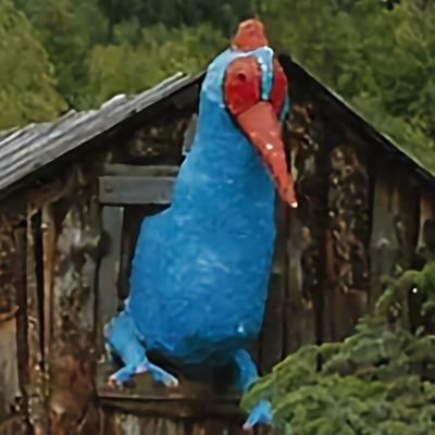 jochatham's profile picture. 