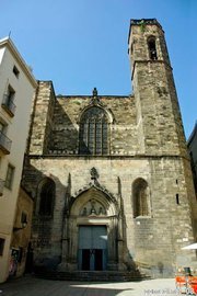 basilicastjust's profile picture. 