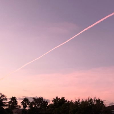 ICYwhal3's profile picture. 