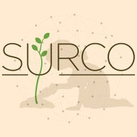 SURCO A C(@surcooaxaca) 's Twitter Profile Photo