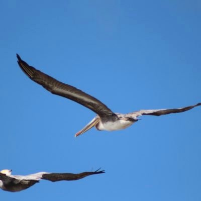 harisha_a's profile picture. 