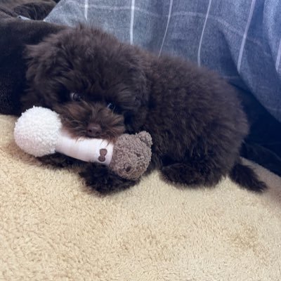 28raruy17's profile picture. 