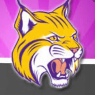 ladycats_sb Profile Picture