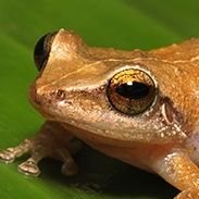 coquipriv's profile picture. my private account ✌️