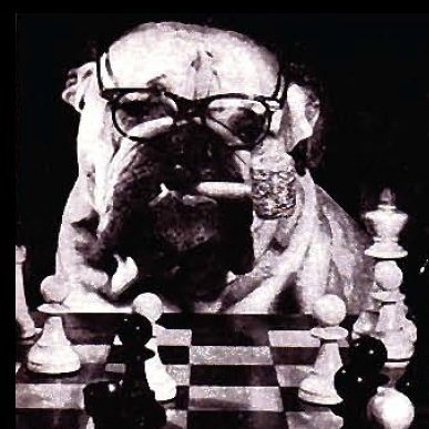 A daily celebration of chess marginalia. Decamped to Threads and Mastodon.