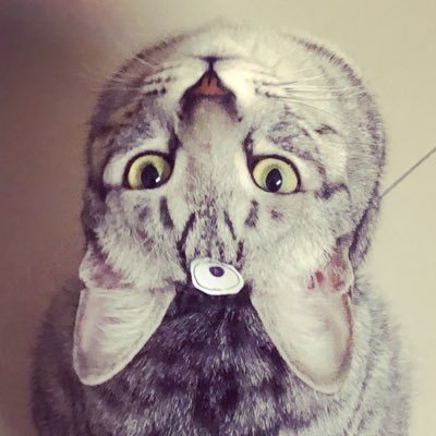 wxmei0229's profile picture. 輕裝上陣