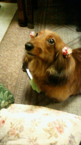 ninachi_15's profile picture. 