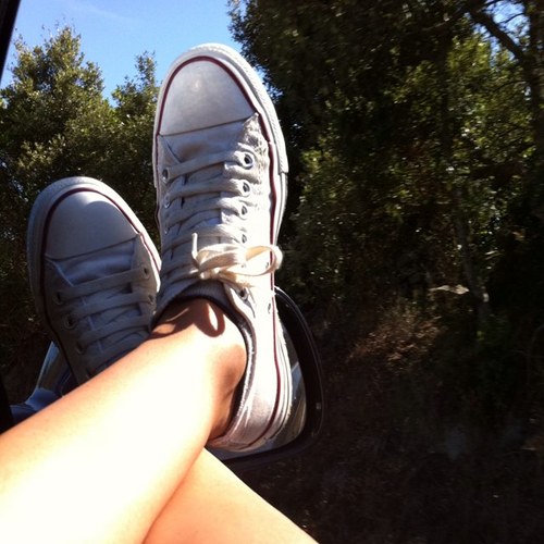 fedeuldi's profile picture. 