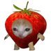 Shrimp (@shutupimshrimp) Twitter profile photo Shrimp (@shutupimshrimp) Twitter profile photo