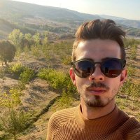Sinek Valesi (@ahmet_lap) 's Twitter Profile