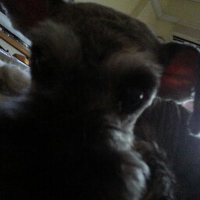 Chew31120Chew's profile picture. 