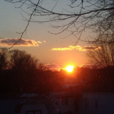 DidesideroRenee's profile picture. 