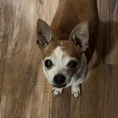 Bo83806Borden's profile picture. 