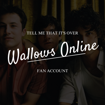 A sua fonte de mídias sobre a banda Wallows! | Fan Account CONTA PRINCIPAL: @brasilwallows