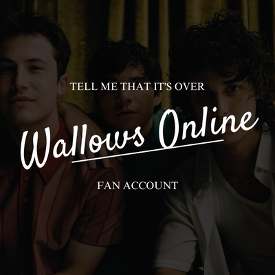 A sua fonte de mídias sobre a banda Wallows! | Fan Account  CONTA PRINCIPAL: @brasilwallows