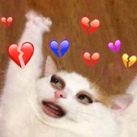 Rei (@sukamisedap) 's Twitter Profile