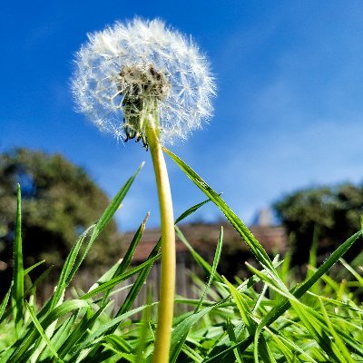 frangipue's profile picture. do good be good🌸🌺