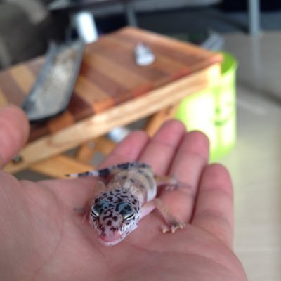 hikokuminn0326's profile picture. 