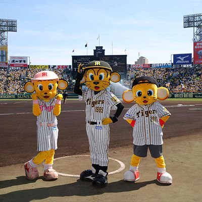 【#阪神タイガース ファン歴30年超🐯】毎年春季キャンプから応援｜目指すはもちろんリーグ優勝からの日本一🔥｜ファンの人たちと一緒に「とらほー！🐯」で盛り上がろう！｜Follow me !!