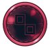 PBM Coin (@pbmcoin) Twitter profile photo PBM Coin (@pbmcoin) Twitter profile photo