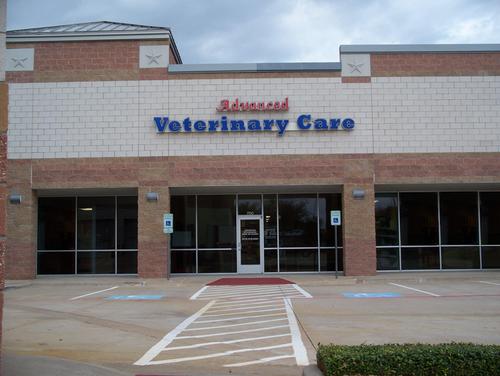 AVCofPlano's profile picture. Advanced Veterinary Care of Plano is a full service animal hospital for dogs and cats. We focus on providing state of the art techniques in a caring environment