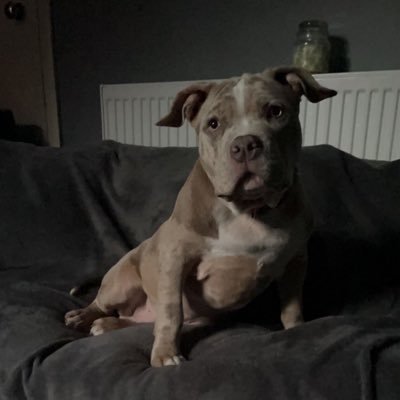 FlipperManKP's profile picture. F/A