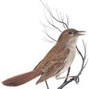 Nick Giannopoulos - @nickgiannop - Twitter