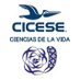 Posgrado en Ciencias de la Vida CICESE (@pcvida_cicese) Twitter profile photo Posgrado en Ciencias de la Vida CICESE (@pcvida_cicese) Twitter profile photo