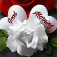 onyebuchi Emmanuel ogugua (@chinedunwo47214) 's Twitter Profile Photo onyebuchi Emmanuel ogugua (@chinedunwo47214) 's Twitter Profile Photo