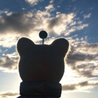 Gu (@sonicgu) 's Twitter Profile