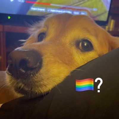 sundaymnzr's profile picture. Day | 28 | 🔞 |