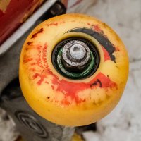 SSHRED (@sshredinfo) 's Twitter Profile