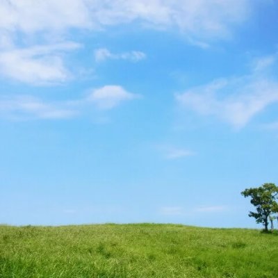 LEDA01849293's profile picture. Learning history (22.3-). Cleared: Eiken pre1st (22.6), 1st(23.3), TOEIC 880(23.4), HSK3Q,4Q(23.12), TOEFL91(24.9),中小企業診断士(25.1). Next Target : 統計検定3Q