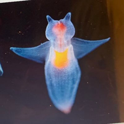 aspentree1918's profile picture. 