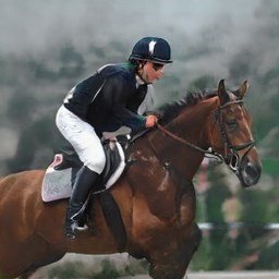 AmandaW61113437's profile picture. 