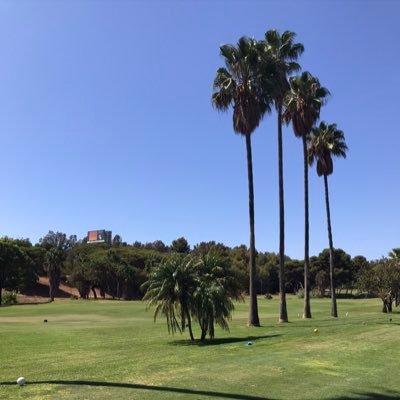 Chambo51165's profile picture. 