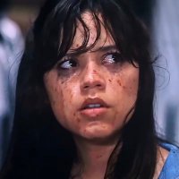Tara Carpenter (@taracarpenterrp) 's Twitter Profile