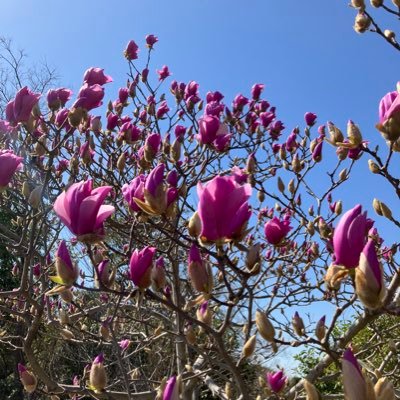 iiap7t's profile picture. kmt沼。超雑食、20↑ 、みなさんの作品に感謝です。心を込めて♡タップ、無言フォロー失礼します。主に🔥夢を書く。🔥家もたまに書きます。描く練習もします。成人済であることを表記しない方、全く関係ないと思われる方のフォローは外します。