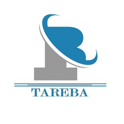 Tareba_'s profile picture. 