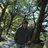 ignacio_cabrera's profile image