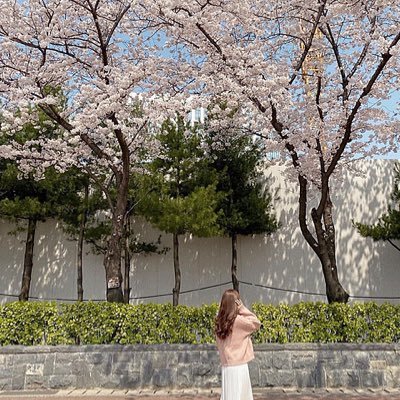 RIO_muramura's profile picture. 女風デビューしたくて作ってみました。ユーザーさんと仲良く出来たら嬉しいです✨ 関西すんでます。